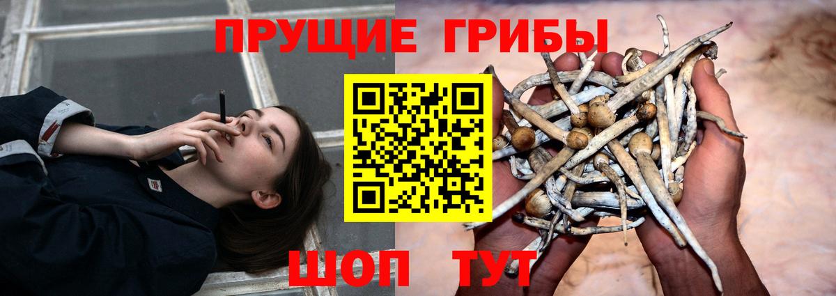 купить наркотики сайты  Вход с VPN  Алатырь  Псилоцибиновые грибы мухоморы  Галлюциногенные грибы прущие грибы 